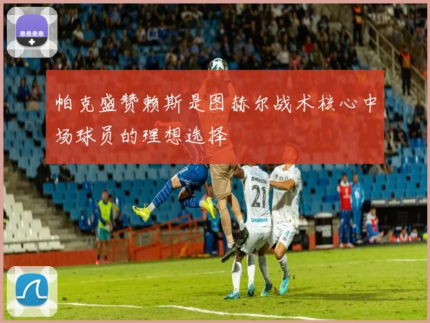 帕克盛赞赖斯是图赫尔战术核心中场球员的理想选择
